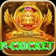 2022 world cup cricket VIP Pro v4.5.5