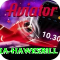 antigua hawksbill Elite Pro v2.2.6