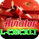 bbl cricket Pro