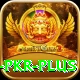 Bingo PKR Champion Slots