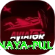 birethanti naya pul Premium Edition v2.1.1