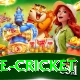 bpl live cricket Plus Pro v2.1.3