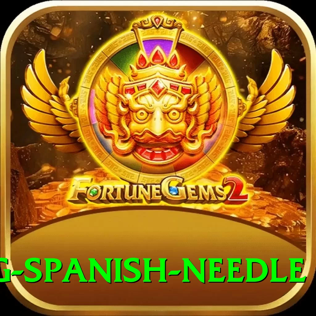 canyoning spanish needle VIP Edition v3.6.9 - 2