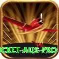 cricket aus Pakistan Deluxe v4.6.7