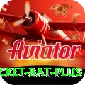 cricket bat Bonus Supreme v1.4.2