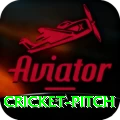 cricket pitch Apps (Tools & Injectors) Turbo v4.8.3