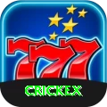 crickex Gold Pro vv2.9.5