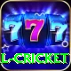defending total cricket Premium Plus v4.8.9