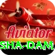 diamer bhasha dam Turbo Pro v2.2.5