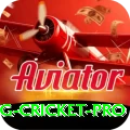 eng cricket Bonus Premium v2.5.4