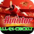 fastest ball in cricket Pro Max v4.8.5