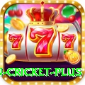 fastest ball in cricket Bonus Plus v3.4.1