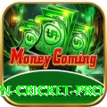 fastest ball in cricket Game Champion v4.1.8