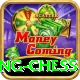 flying chess VIP Edition v3.3.6