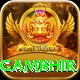 gautam gambhir Apps (Tools & Injectors) Deluxe v3.7.0