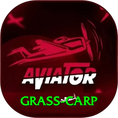 grass carp Plus v2.7.8 - 2