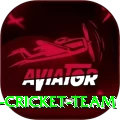 hong kong cricket team Plus Edition v1.6.6