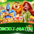 india cricket match Plus Edition v1.1.6