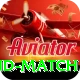 india new zealand match VIP v1.6.9