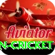 india pakistan cricket Master Pro v4.5.3