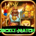 india pakistan cricket match Turbo Pro v2.0.7