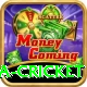india sri lanka cricket App