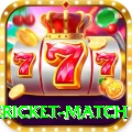 international cricket match Master Pro v4.4.9