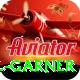 joel garner Premium v4.6.7
