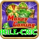 mobile cric Deluxe Pro v4.7.2