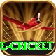 mobile cricket Plus Edition v3.9.5