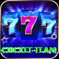 mumbai cricket team Pro v3.3.1