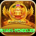 naseem shah yorkers Premium Plus v3.3.4