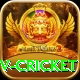 ndtv cricket Apps (Tools & Injectors) VIP v2.3.3