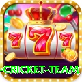 netherlands cricket team Turbo v1.3.7