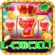 one cricket Max Pro v5.1.5