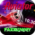 pakrummy Max Pro v5.2.3