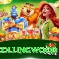 paul collingwood Games (Casino & Earning) Gold v5.5.5
