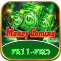 pk11 - Ultimate Earning App