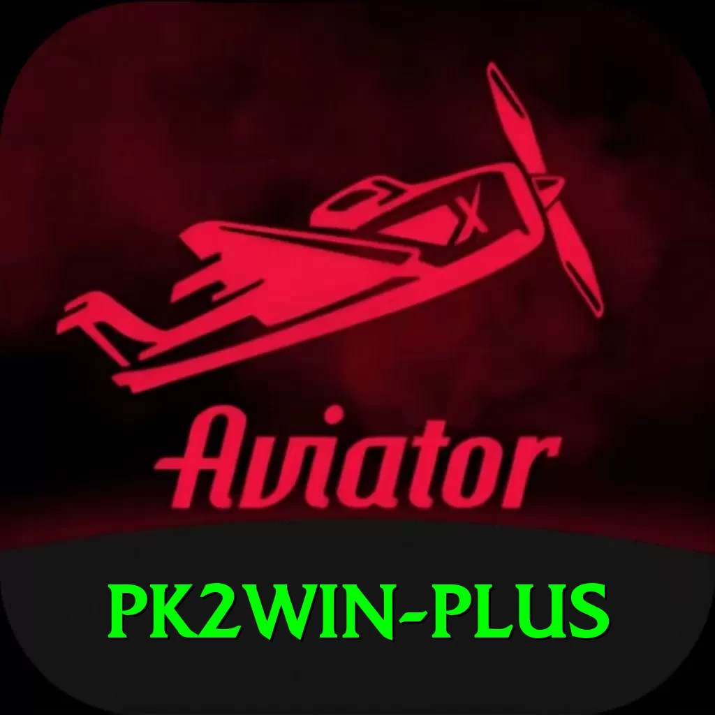 pk2win Deluxe v4.9.0 - 2