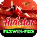 pk2win Plus v4.0.8