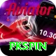 pkspin Max vv5.9.1