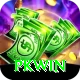 PKWin Ultimate v1.9.9