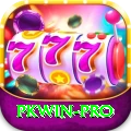 pkwin Pro v4.6.7