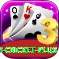play cricket - Gaming Prime