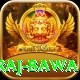 raj bawa Pro Edition v4.8.9