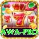 raj bawa Slot Machine Max