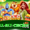 risk free bet cricket Plus Pro v3.5.7