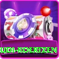 rudi koertzen Pro v4.8.4