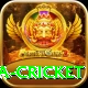 sa cricket Gold Edition v4.6.4
