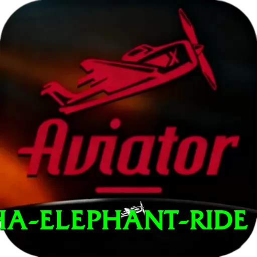 sauraha elephant ride Premium Plus v5.9.7 - 2